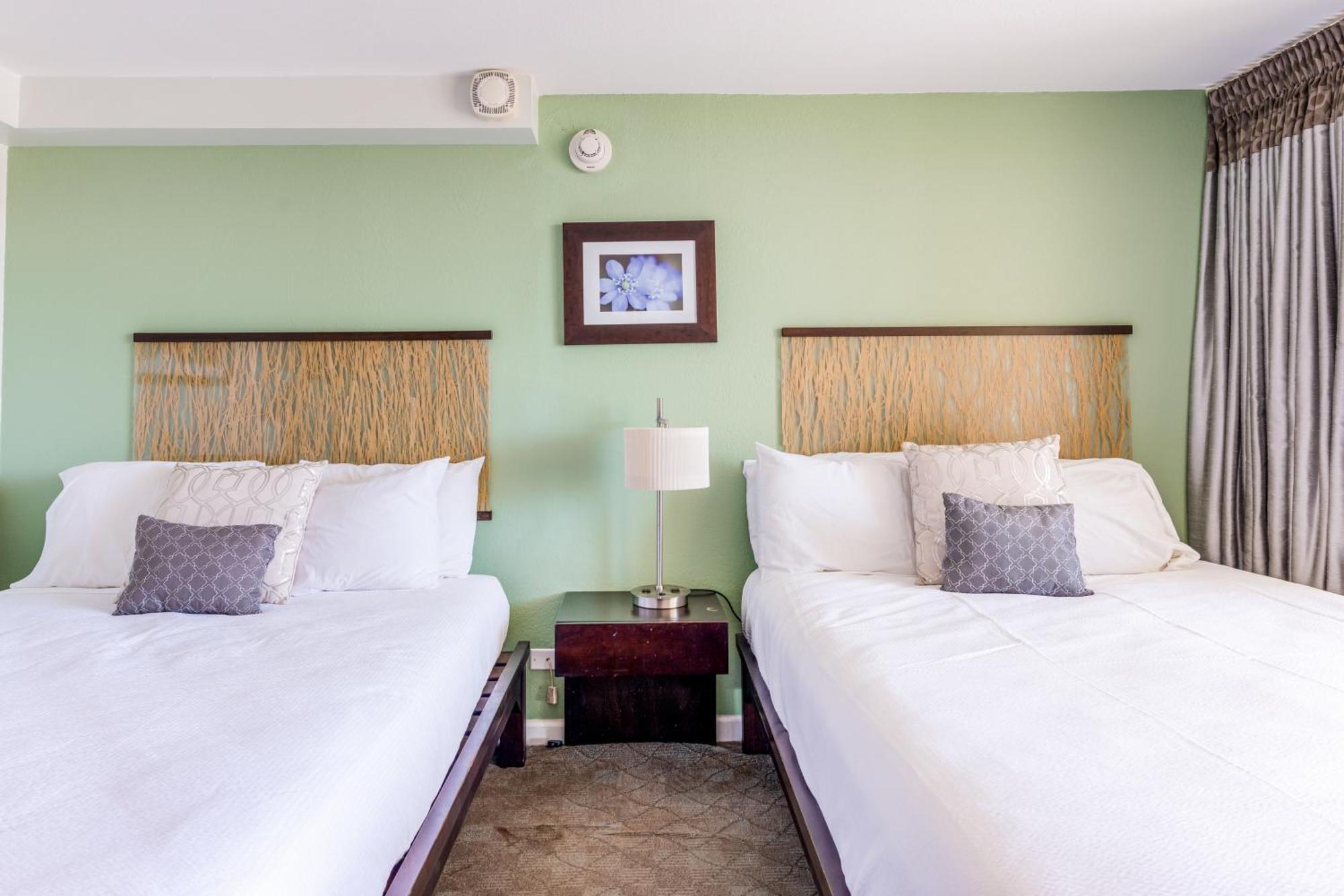 Island Colony Suites ホノルル 部屋 写真